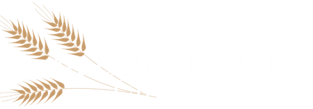 Bread of Life Church | Hudson Valley NY